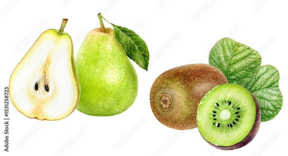 Fototapeta premium Watercolor Realistic Pear and Kiwi Illustration, Fresh Fruit Duo
