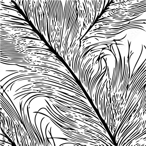 peacock feather pattern fractal, line art, black and white vector 