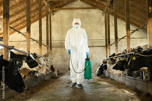 A man in a white protective suit disinfects a barn, ensuring a safe and healthy environment for the cows in the barn