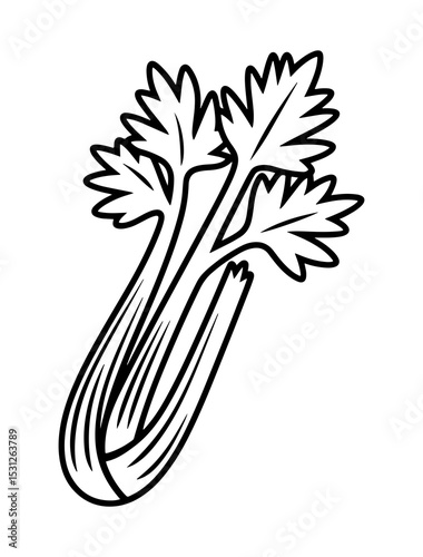 Celery stalks with leaves line art illustration