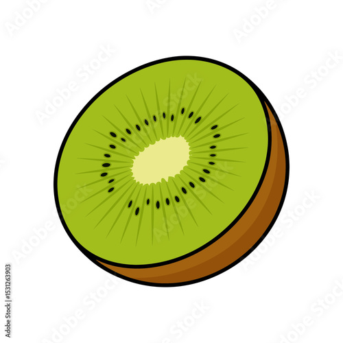 Half a kiwi fruit slice illustration