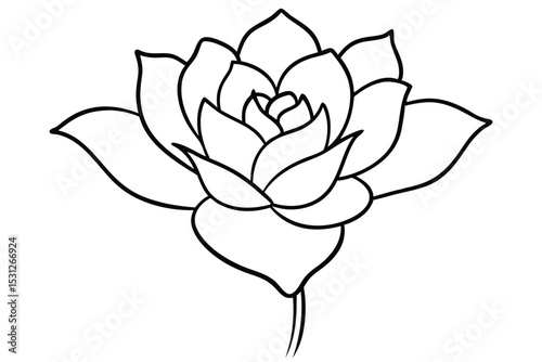 Flower Line Art for children coloring book