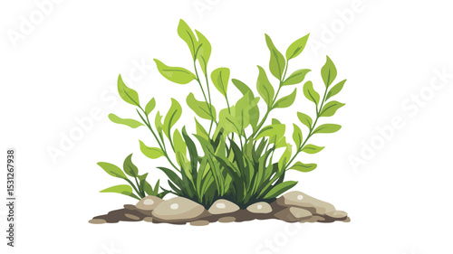 Vibrant Aquarium Plant Vector Illustration for Fish Tank Decor - EPS Format