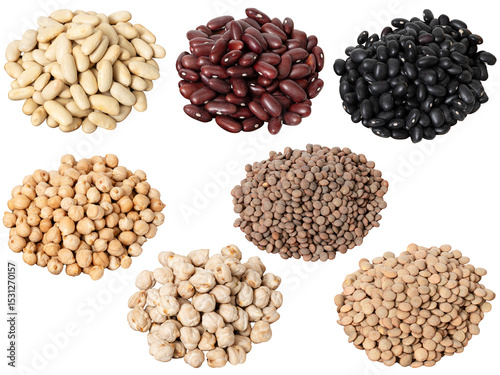 Set of raw legumes cut out including lentils, chickpeas, and beans
