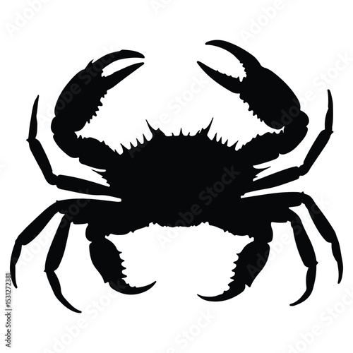 Crab isolated on white background. Vector illustration eps 10.