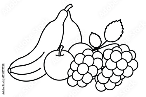 Simple outline illustration of various fruits including grapes apple banana and pears for design projects