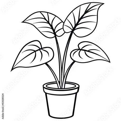 House plant in a pot doodle outline art vector, Potted plant line art vector illustration  on white background