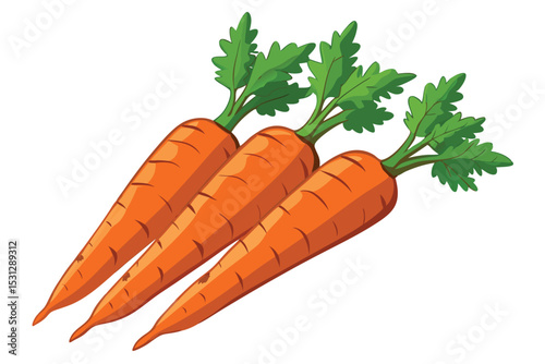 Fresh carrots clipart vector illustration perfect for healthy food designs and gardening project