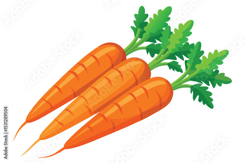 Fresh carrots clipart vector illustration perfect for healthy food designs and gardening project
