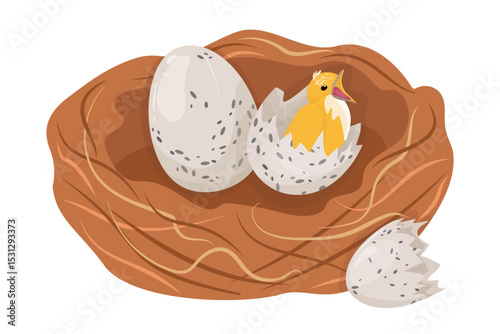 Small yellow chick and light colored egg in bird's nest. Fragile mottled bird eggs and broken shell.  Vector texture pattern bird offspring in spring. 