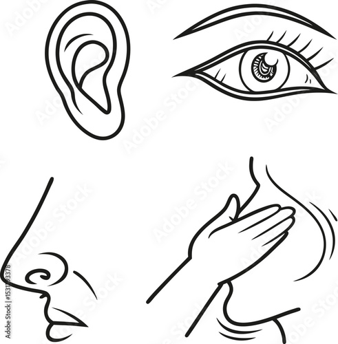 Human Senses Vector Illustration Eye Ear Nose Touch Black and White Line Art