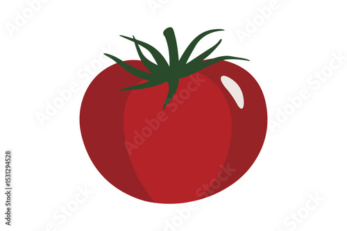 Fresh Tomato Vector Illustration Red Organic Vegetable Clipart on White Background