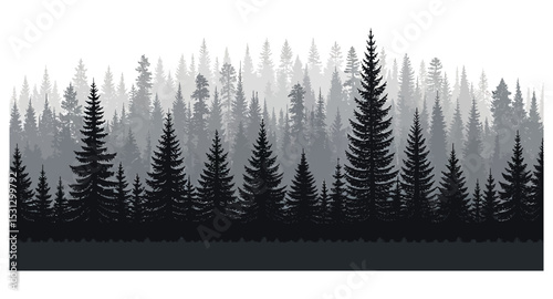 Misty Mountain Forest Silhouette: A serene landscape of dark evergreen trees under a hazy sky