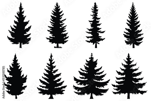 Set of Pine Tree Silhouettes | Vector Evergreen Tree Shapes for Forest and Winter Design