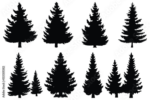 Set of Pine Tree Silhouettes | Vector Evergreen Tree Shapes for Forest and Winter Design