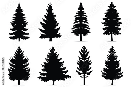 Set of Pine Tree Silhouettes | Vector Evergreen Tree Shapes for Forest and Winter Design
