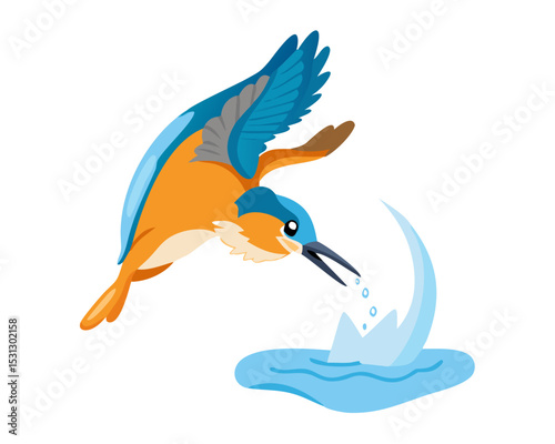 Female Kingfisher emerging from the water after an unsuccessful dive to grab a fish