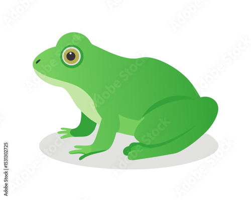green tree frog