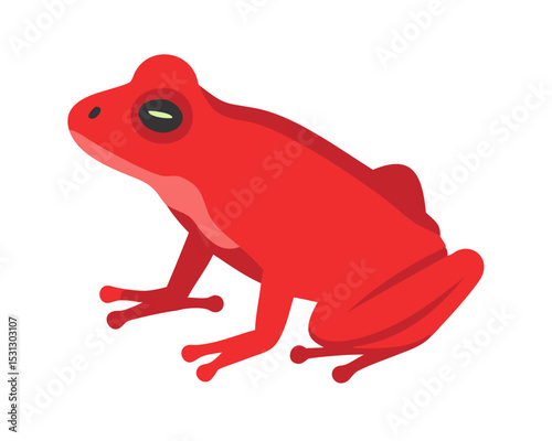 red  tree frog isolated on white