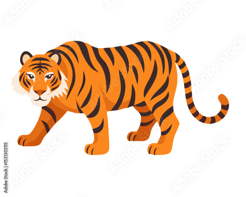 tiger on white background