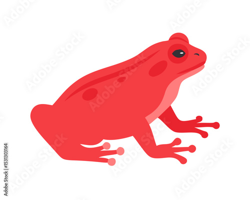 red tree frog