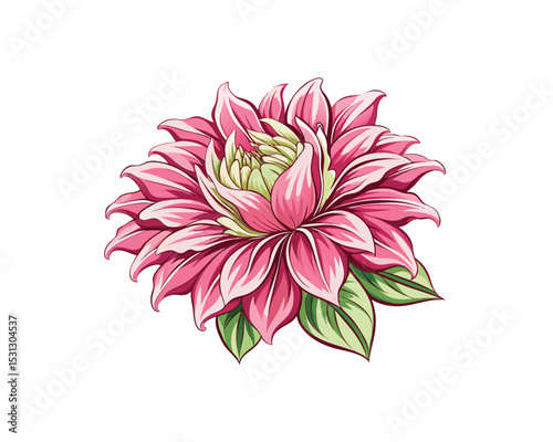 Pink Chrysanthemum Watercolor Illustration
Tropical Mum Flower Hand-Drawn Watercolor vector Art