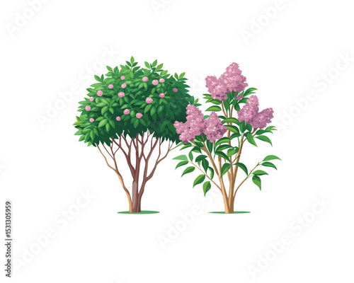 "Pink Oleander Flower Bushes – Hand-Drawn Botanical Illustration Isolated on" Blooming Rhododendron Trees in Spring Garden Illustration"
 White Background"