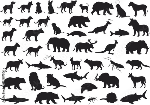 The Dark Silhouette Collection An Assortment of Animal Shape and Silhouette Graphics Showing Mammals Reptiles and Insects