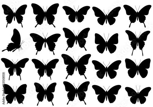 The Enchanting Dance of Butterflies A Symphony of Wings Unveiling Nature's Beauty and Inspiring Transformations Through Delicate Flight Patterns