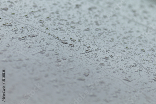 Raindrops gently accumulate on a smooth surface, vividly demonstrating the fascinating behavior of water and droplets that can be observed in nature during various weather conditions