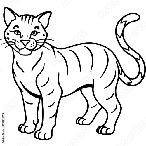 Wildcat Sketch line art vector