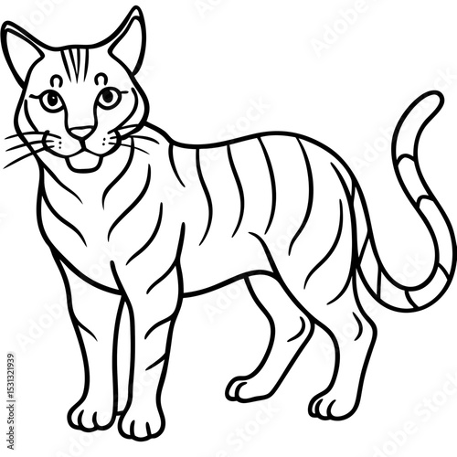 Wildcat Sketch line art vector