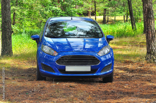 A vibrant blue car is parked among the trees, blending nature and modern travel.