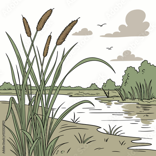 reeds and water