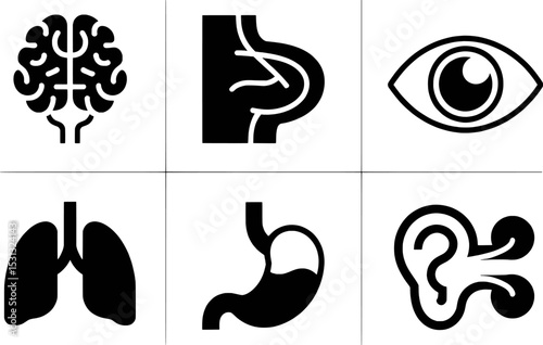 Black and White Human Organ Icons Set Brain Eye Lungs Stomach Ear