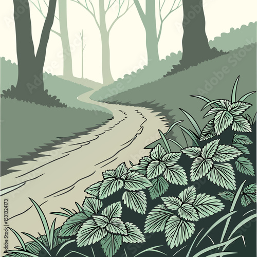 road in the forest
