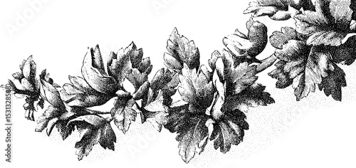 Seamless floral bloom and vine tendril pattern for decorative design