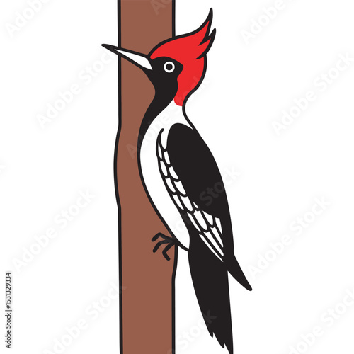 Redheaded Woodpecker Clinging to Brown Tree Trunk bird