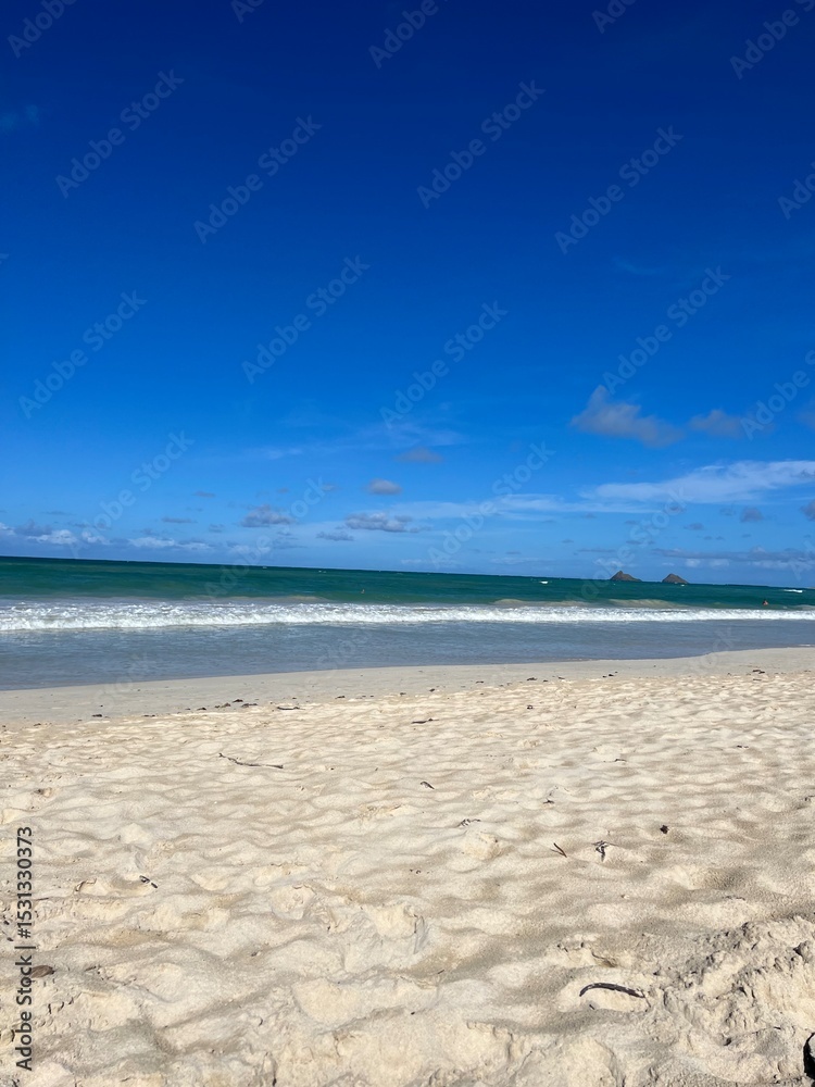 Fototapeta premium tropical beach with palm trees