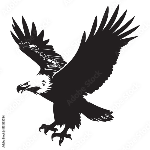Majestic black and white eagle in flight silhouette