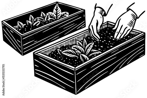 Planting Herbs in Wooden Planters A Step-by-Step Guide, herbs, planting, planters, wooden, gardening, thumb, guide, planning, layout, preparation, grow, growing, step, indoor, harvest, tools, leafy, w
