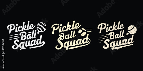 Vector illustration of pickleball squad text graphic in a vintage textured style