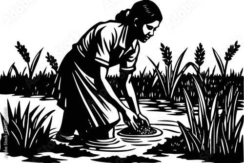 Woman Planting Rice in Paddy Field Vintage Woodcut Illustration, woman, rice, planting, paddy, field, resources, sustainability, visual, labor, effort, picture, monochrome, process, production, figure