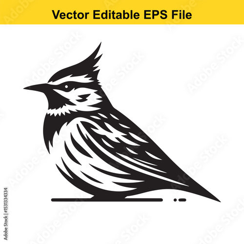 Stylized Black and White Bird Illustration: A Vector Graphic