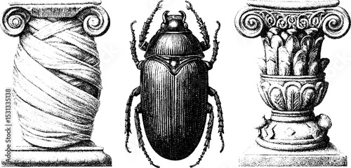 Ancient egyptian themes with linen wrappings and ornate beetle design elements