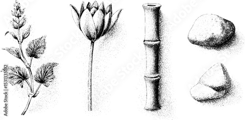 Zen elements collection featuring lotus flower, koi fish, and bamboo for tranquility and balance
