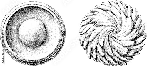 Intricate mandala circle and spiraling yin yang symbol design for meditation and relaxation