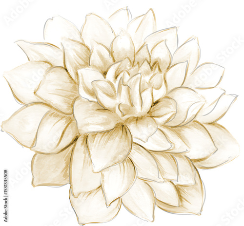 Fototapeta Naklejka Na Ścianę i Meble -  Beige Watercolor Dahlia Flower