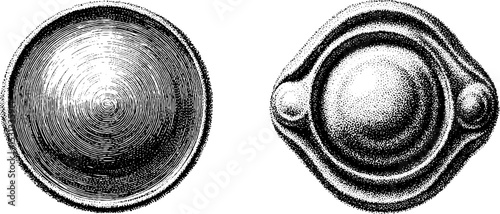 Abstract moir circle and line patterns for decorative design