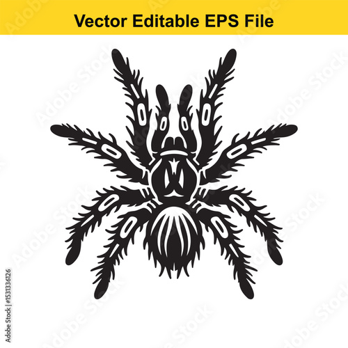 Black and white vector illustration of a tarantula spider